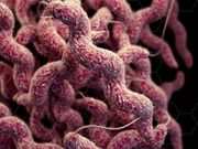 theres-a-growing-threat-that-could-kill-10-million-people-a-year-by-2050