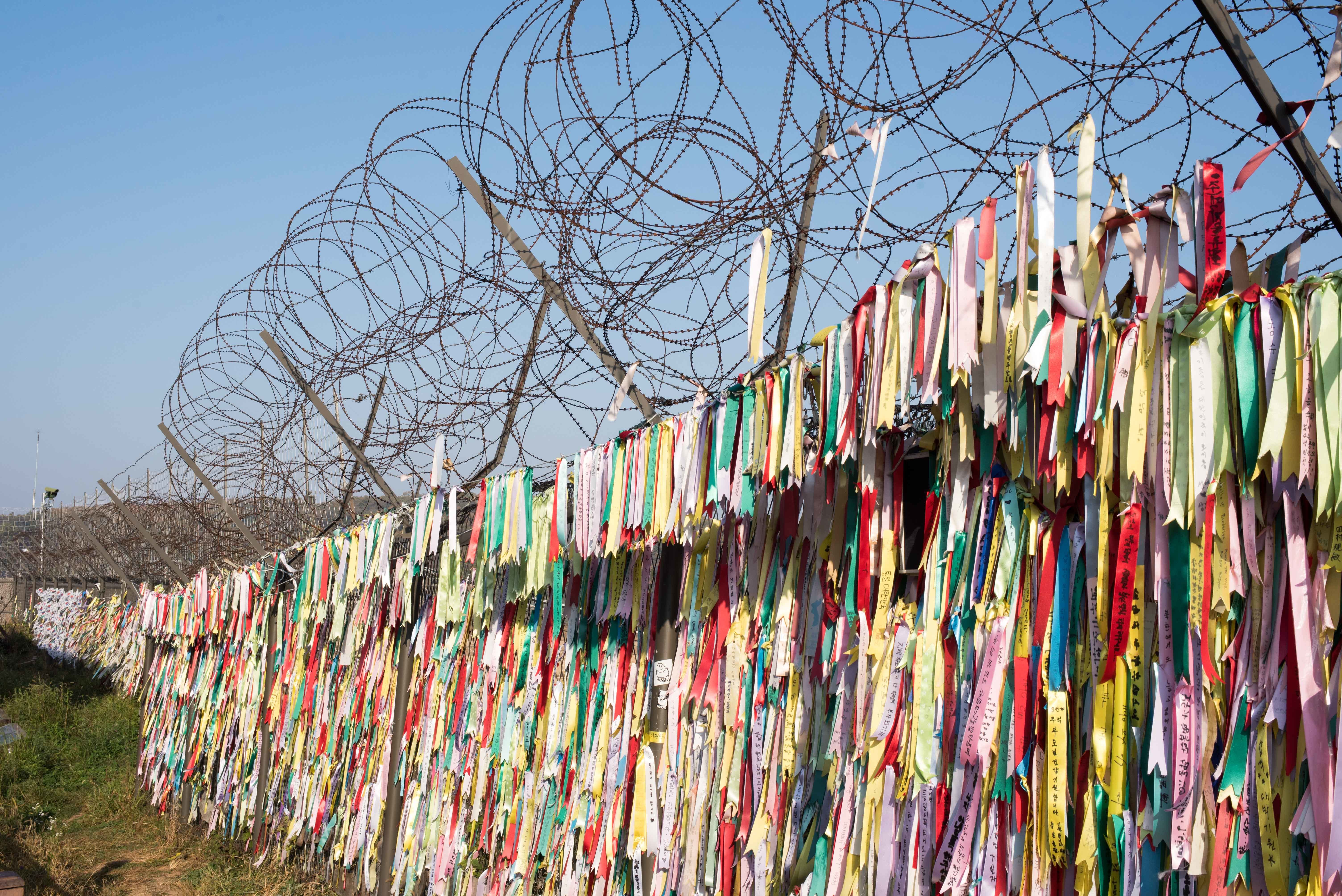 トランプ氏電撃訪問を断念、北朝鮮との最前線「非武装地帯DMZ」を歩く