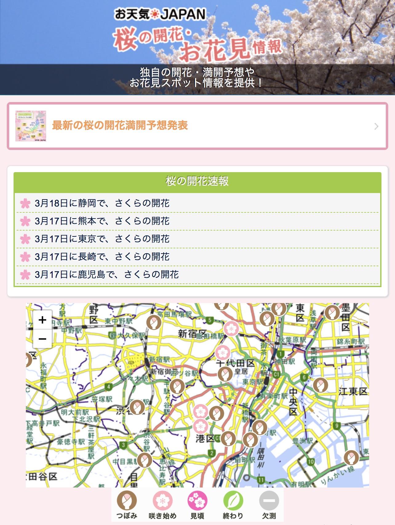桜の満開”時期はAIが知っている「桜の開花予想サイト」に仕組みを聞い