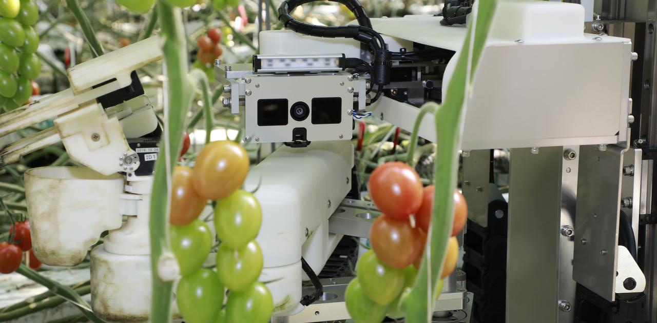 生産性向上、ストレスチェック、農作物収穫 ——社会課題を解決するパナソニックの「画像処理・センシング技術」 | Business Insider Japan