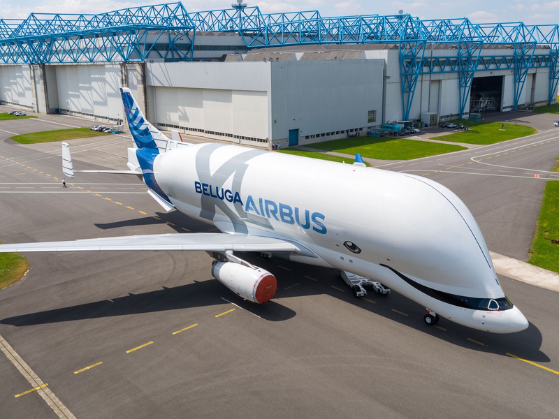 巨大✨ラスト1NEW!エアバスベルーガXL 5号機／Airbus 巨大✨ラスト1NEW!エアバスベルーガXL 5号機／Airbus 模型