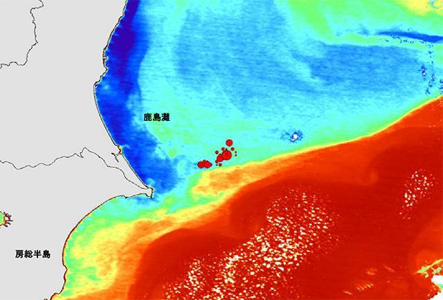 海水蛍光画が6割引き！ 221012_oyashio2.png