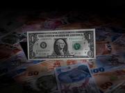 トルコリラ紙幣と米ドル