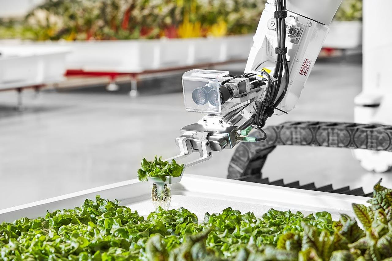 野菜工場のロボット