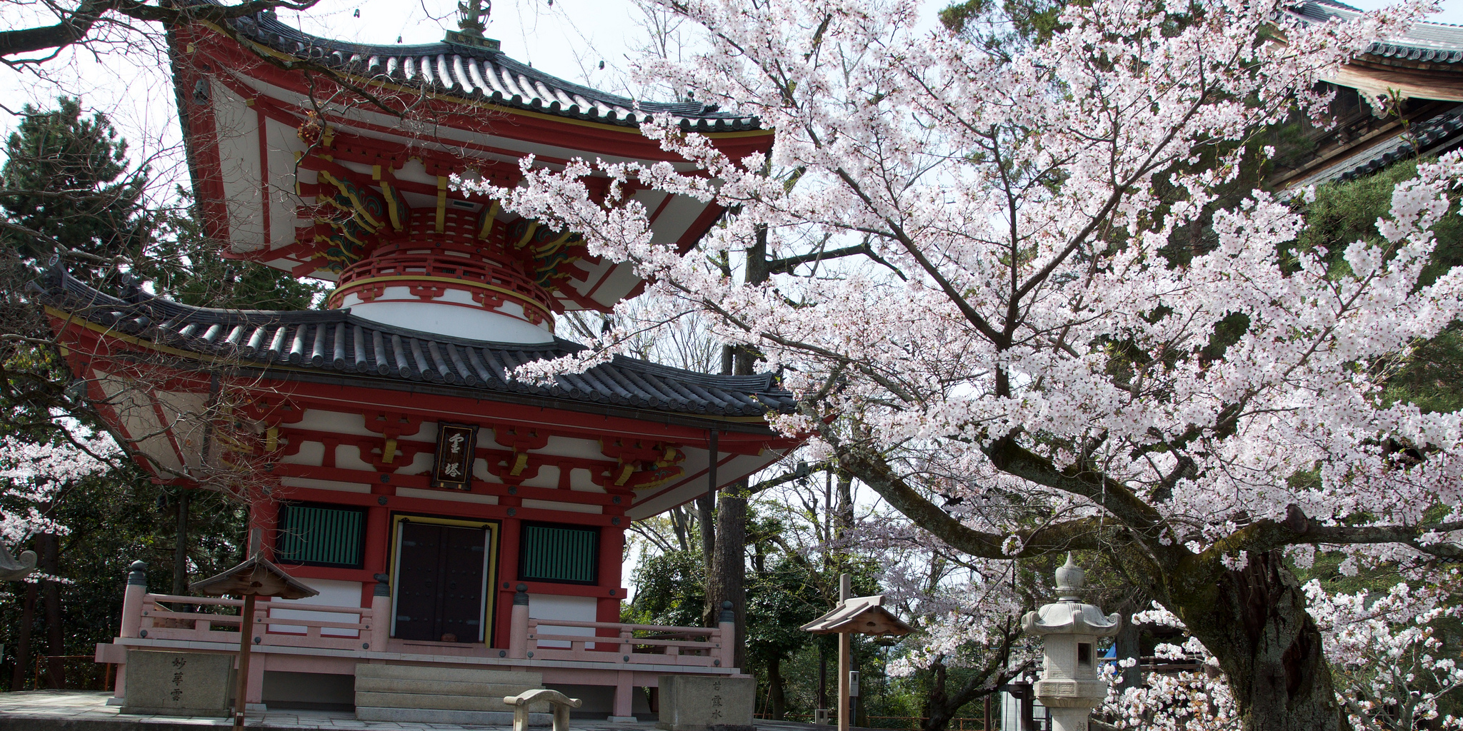 日本