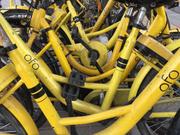 ofo