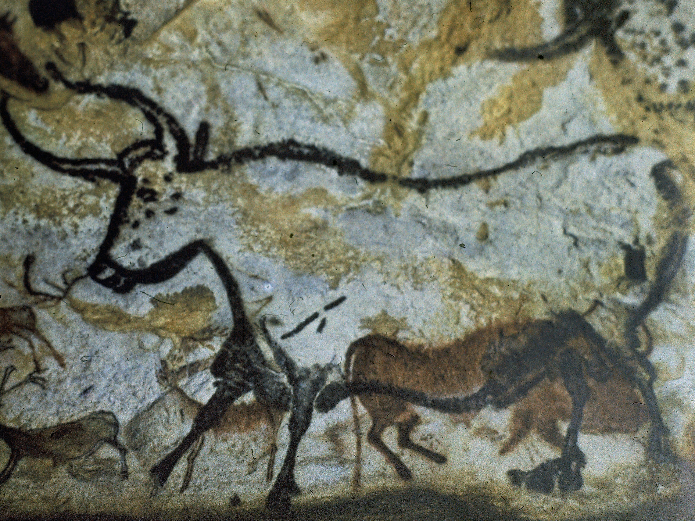 ラスコーの洞窟壁画
