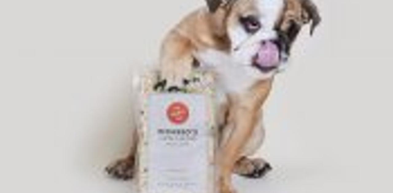 人間が食べてもOK！ 高級ドッグフードのスタートアップが42億円を調達 Business Insider Japan