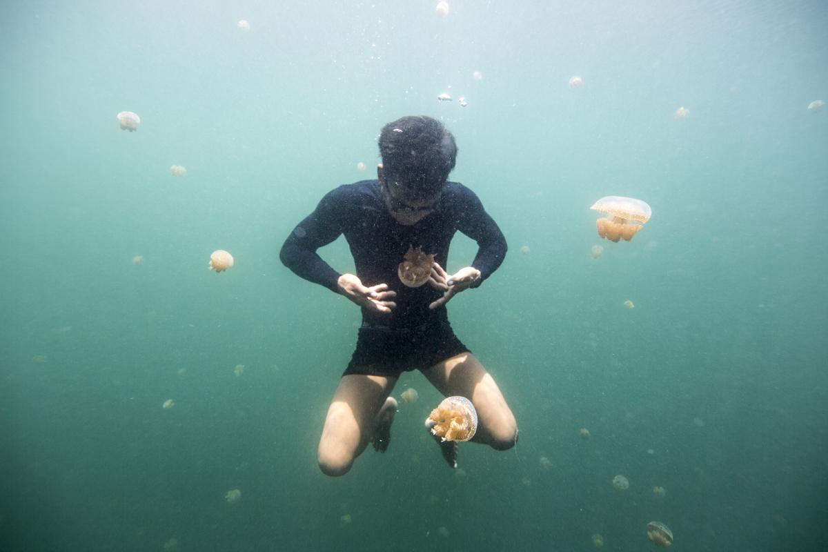 海の遊牧民「バジャウ族」、今の世代で最後になる恐れも | Business