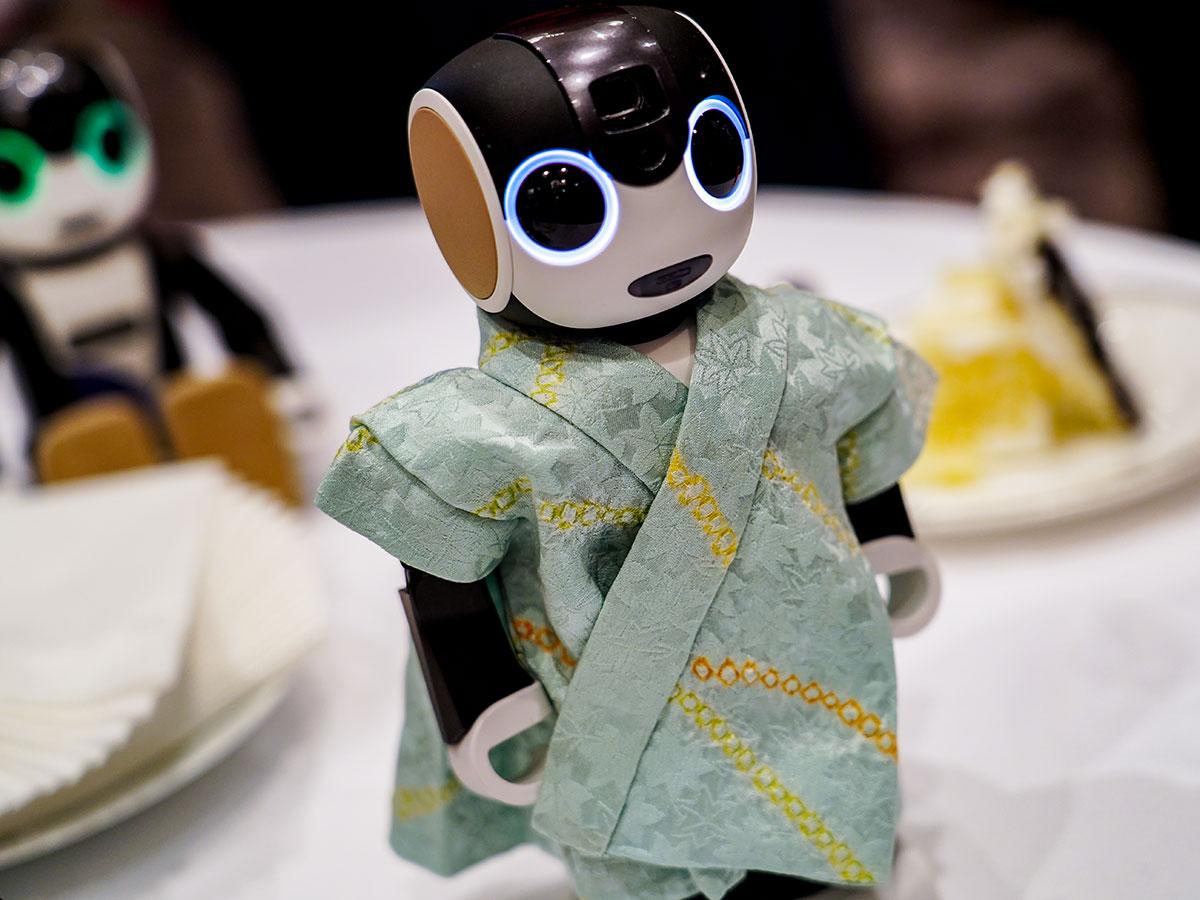 なぜロボホンは個人向け販売がメインなのか？── ロボットが家族の