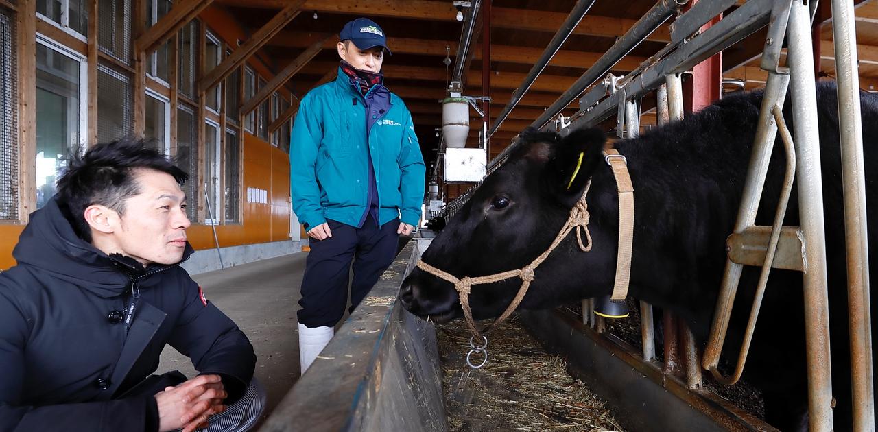 IoT技術が生産農家を「幸福」にする「RICOH CowTalk」にかける熱い想い | Business Insider Japan