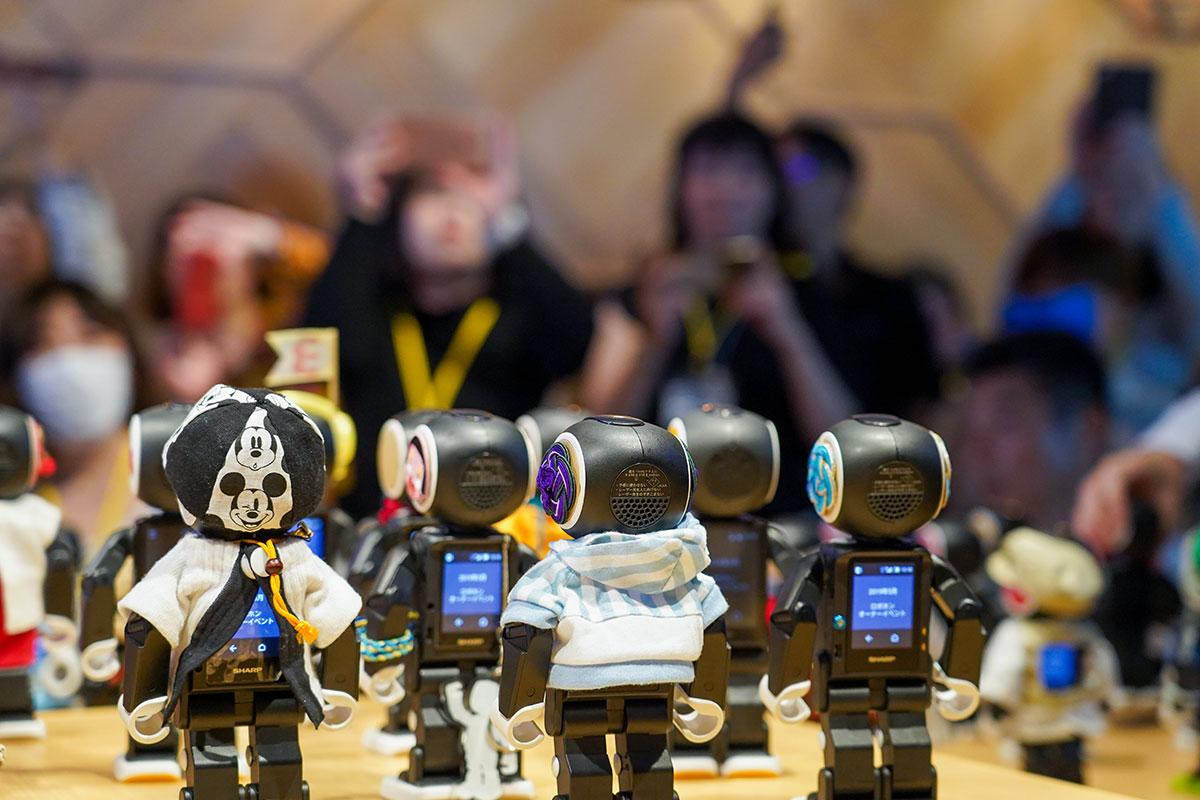 凛ページです　　ロボホン 限定5名様】ロボホン本体＋限定ロボホンウェア 耳・前掛けセット