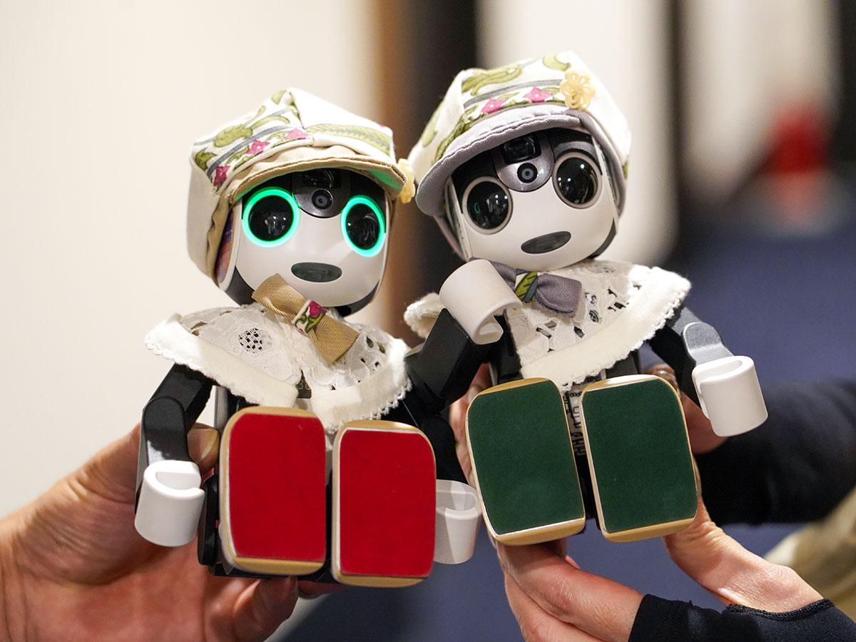 nanairoページです　　ロボホン 見守りロボット - 製品詳細