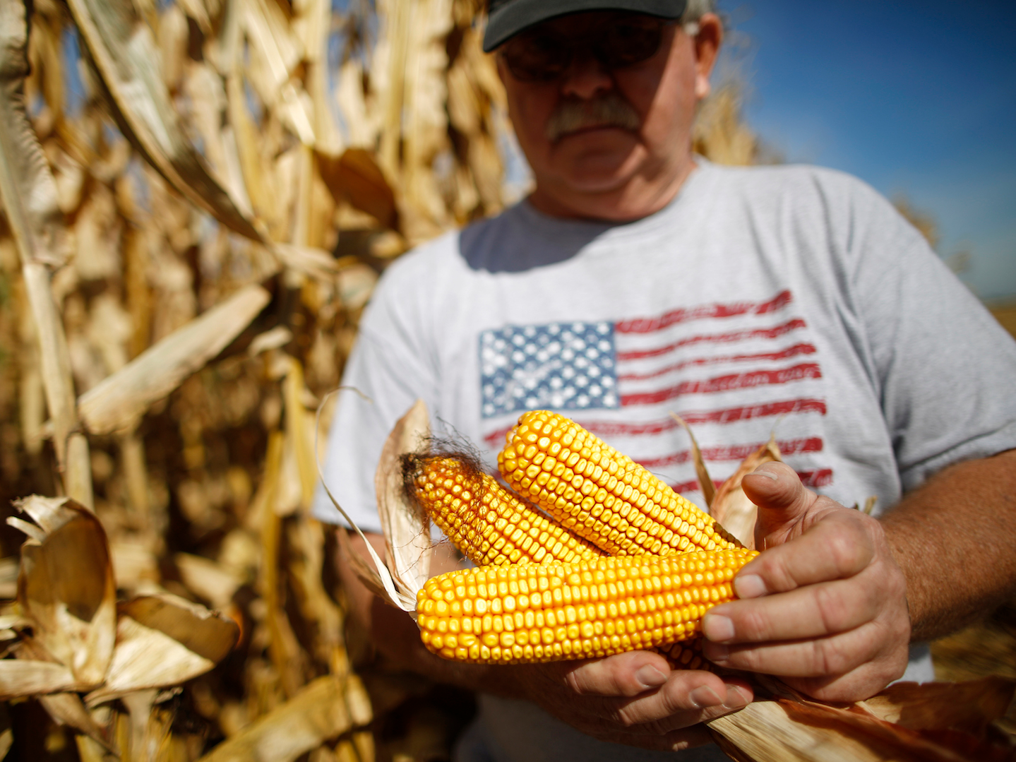アメリカの農業に関する、9つの驚きの事実 | Business Insider Japan