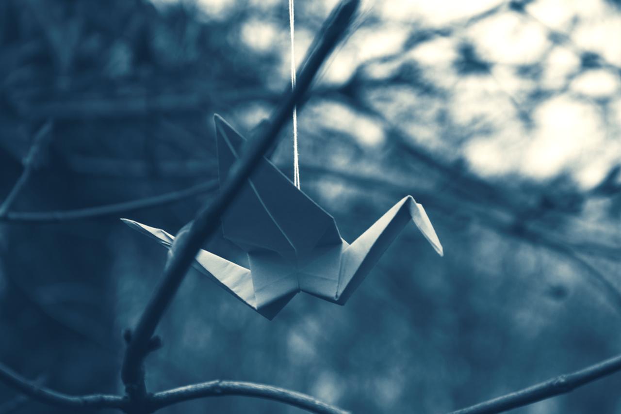 木にぶら下げられた折り鶴
