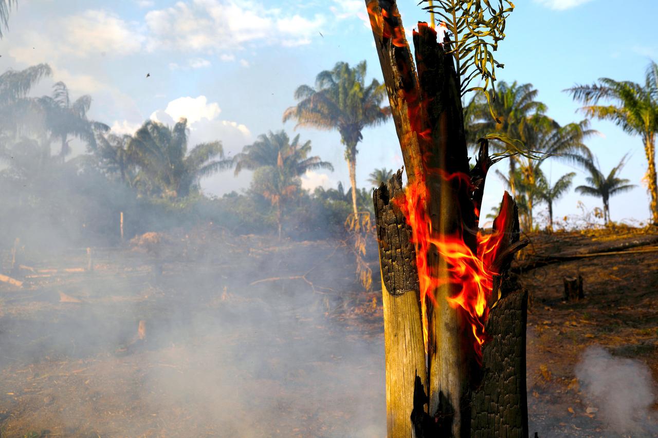 ブラジルのアマゾンでは、今年に入って今までに7万4000回以上の火災が発生している。