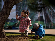 世界中で少子化が進んでいる。