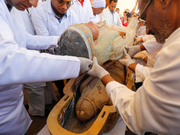 エジプト、ルクソールの｢王家の谷｣にあるアルアサシーフ墓地遺跡で、彩色が施された棺が発見され、2019年10月19日に公開された。