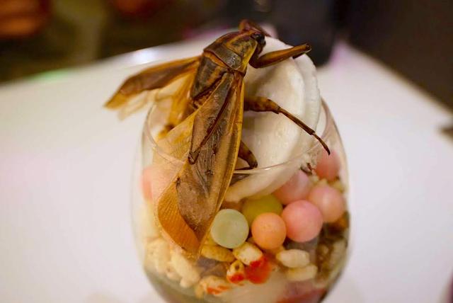 渋谷パルコで 虫ランチ 初体験 無印 ドンキも参入 年はついに昆虫食元年 Business Insider Japan