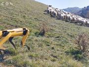 ボストンダイナミクスの犬型ロボット｢スポット｣