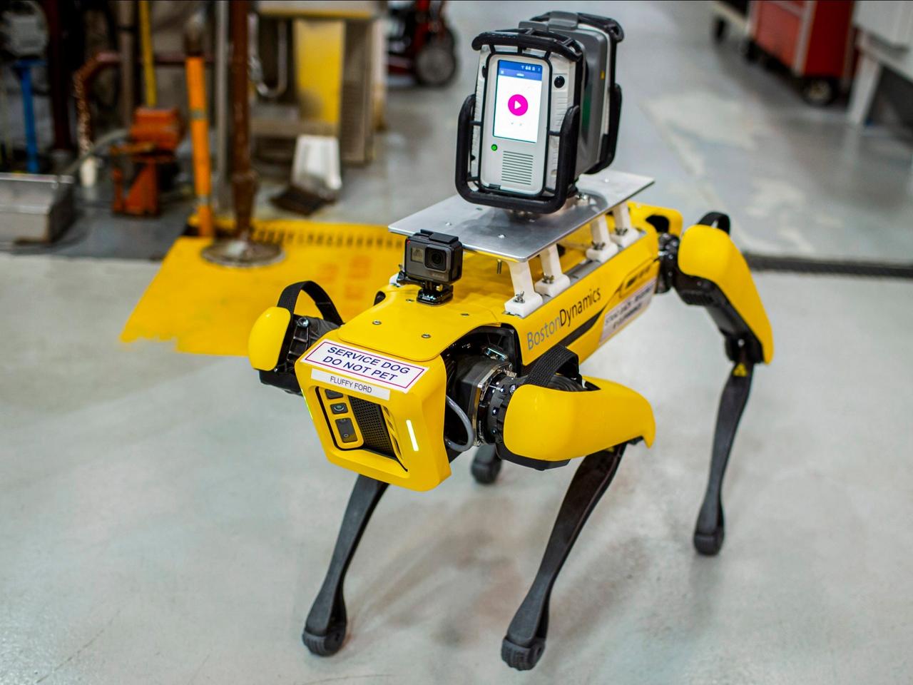 犬型ロボット、8月からフォードに就職