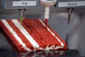 ステーキ肉も「印刷」で…本物の味と質感を3Dプリントで再現