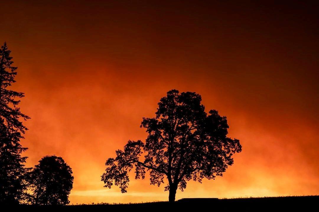 まるで｢世界の終わり｣…山火事の煙がアメリカ西海岸の空を不気味な