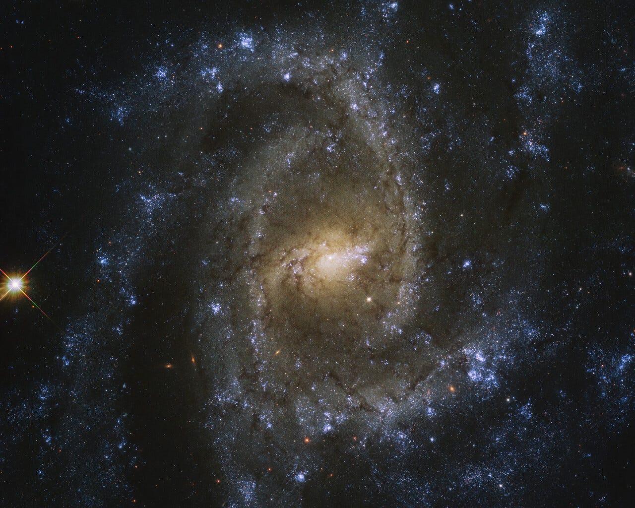 ハッブル宇宙望遠鏡が捉えた｢蛇の目｣と呼ばれる銀河｢NGC 2835｣の画像。2020年9月14日に公開された。