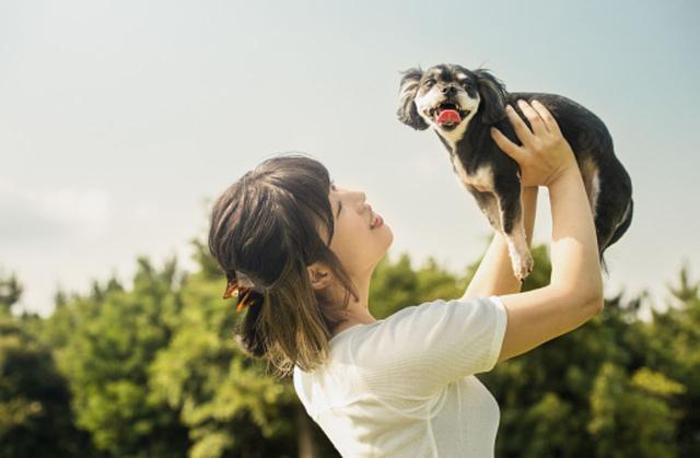 犬と猫は人間の4倍以上速く歳をとる ペットと人間が幸せに暮らすために必要な２つのこと Business Insider Japan