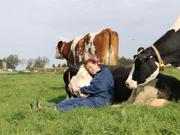オランダ、スパンブルクの｢ファームサバイバル｣で、牛を抱きしめる女性。