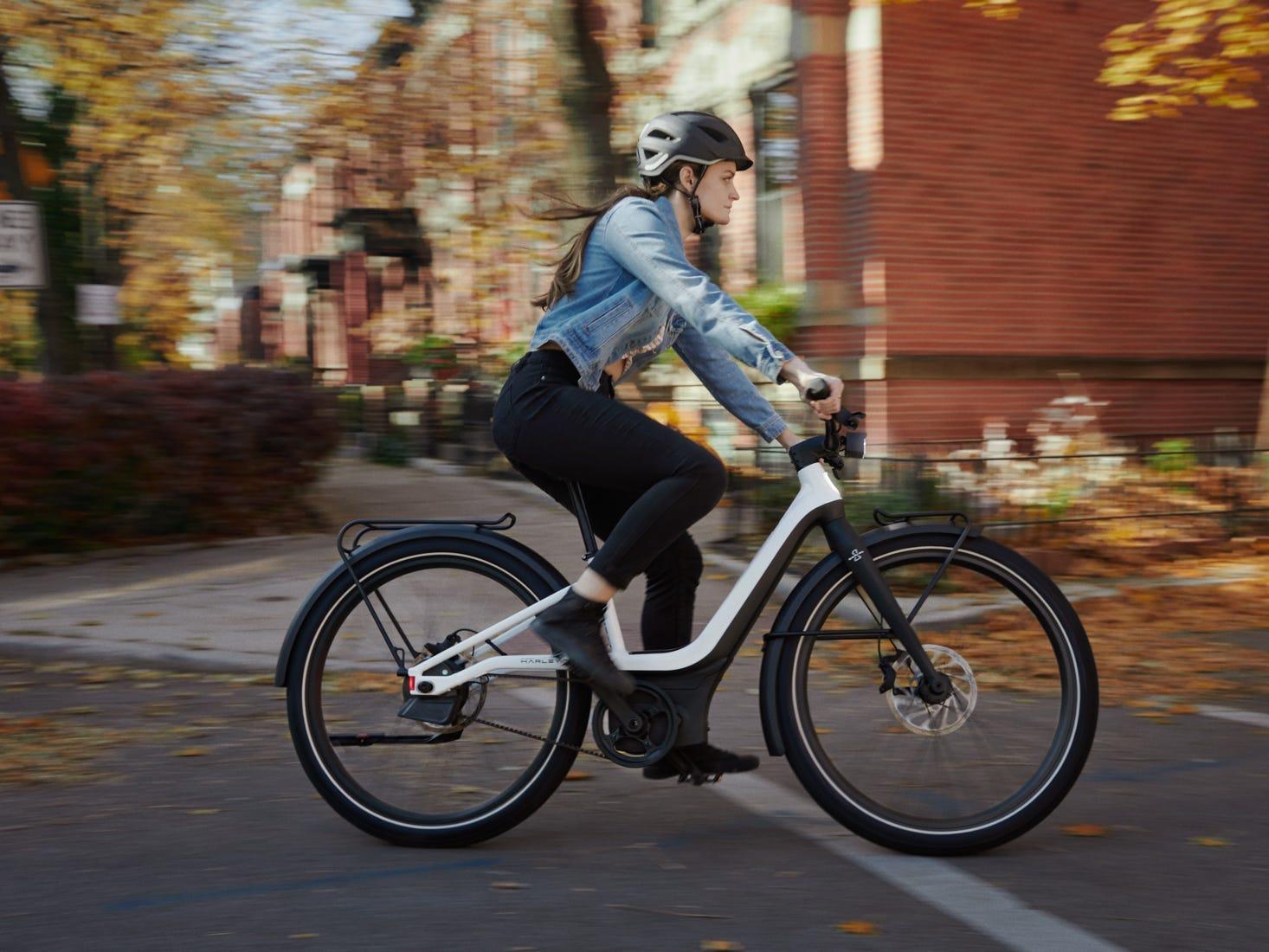 ハーレー自転車　ロードマスター製　超希少 ハーレー自転車 ロードマスター製 超希少 ハーレー自転車 ロード
