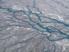 気候変動でグリーンランドの氷が黒くなっている…藻類によって氷床の融解が加速する可能性