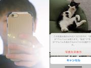 iPhoneを見る男性と猫