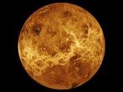 NASAの惑星探査機｢マゼラン｣と｢パイオニア・ヴィーナス・オービター｣が捉えた金星の画像を合成したイメージ。