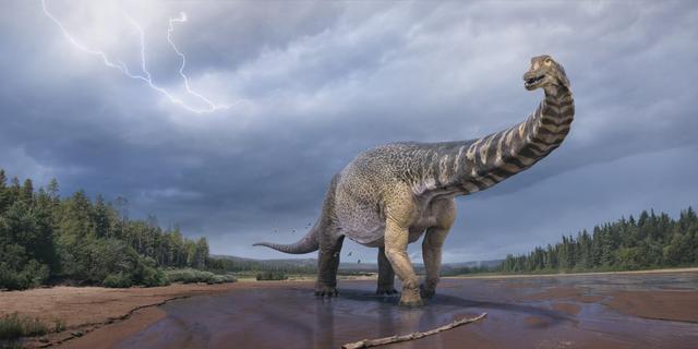 豪州で発見された新種の恐竜は体長30m 旅客機並みの大きさだった Business Insider Japan 豪州で発見された新種の恐竜は体長30m 旅客機並みの大きさだった Business Insider Japan