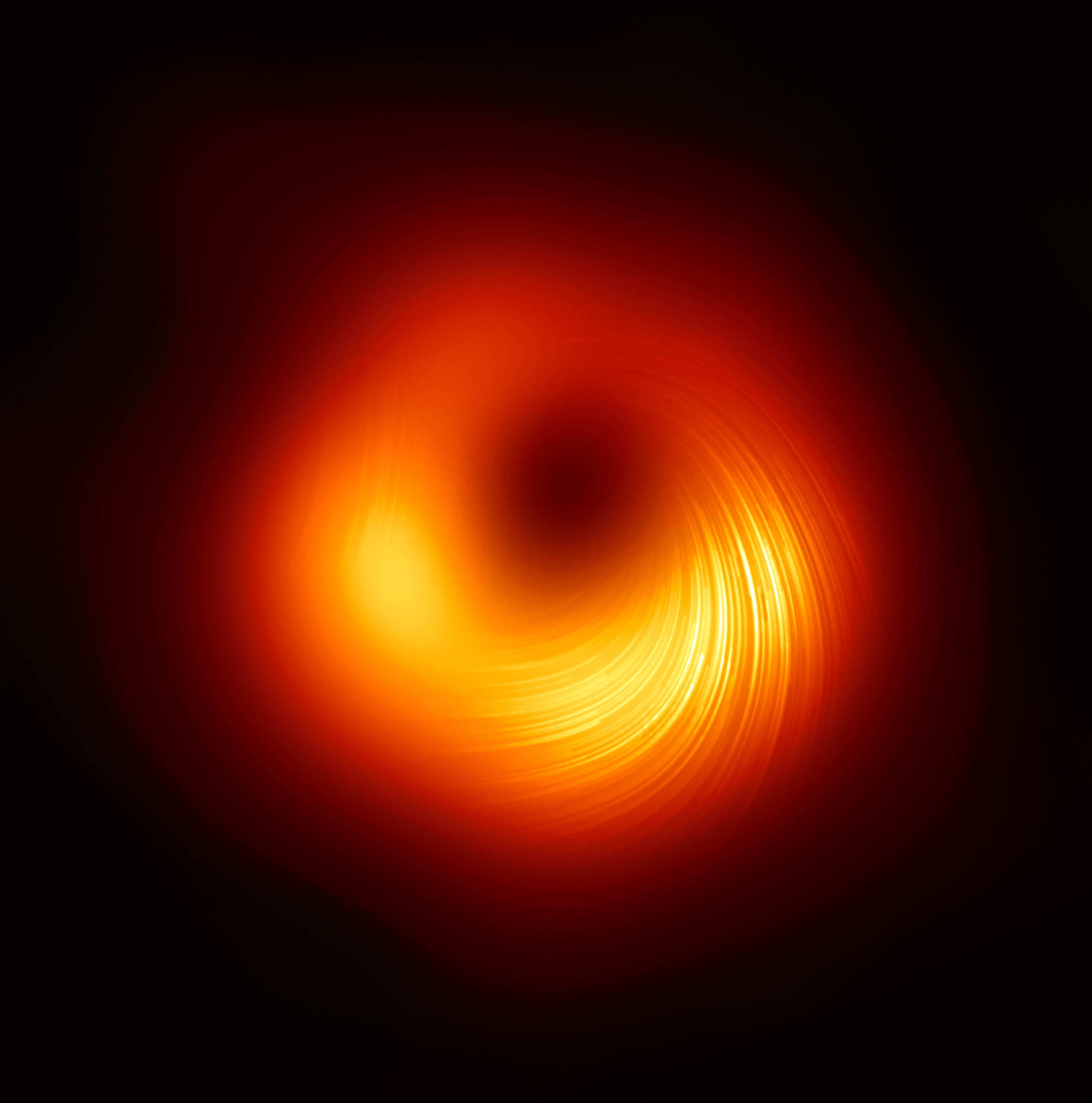 ブラックホール偏波