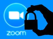 kawamura_india_zoom_top