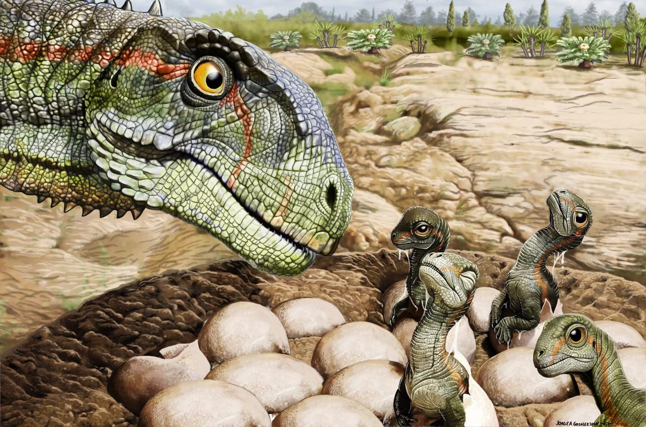 ムスサウルス・パタゴニカスの成体と、孵化したばかりの幼体の想像図。