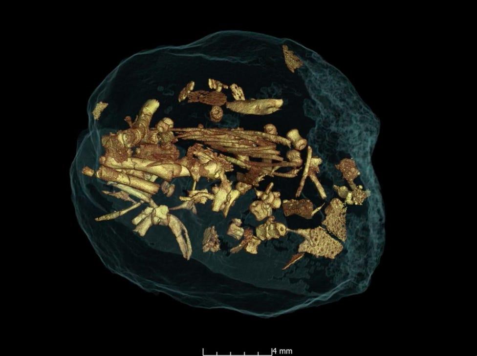 恐竜は約2億年前から群れを作っていた…営巣地から100個以上の卵を発見