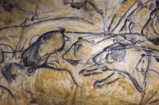 フランスのヴァロン＝ポン＝ダルクにある洞窟に描かれた壁画を複製したもの。最古の洞窟壁画とされている。