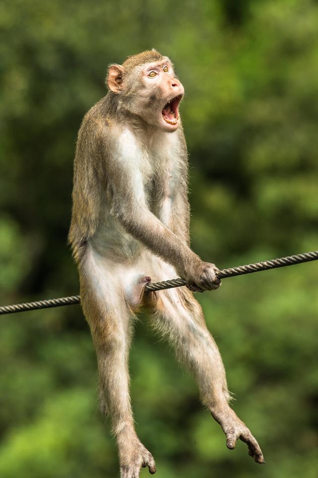 今年もすごかった おかしな動物たち 写真コンテスト21で受賞した19作品 Business Insider Japan 今年もすごかった おかしな動物たち 写真コンテスト21で受賞した19作品 Business Insider Japan