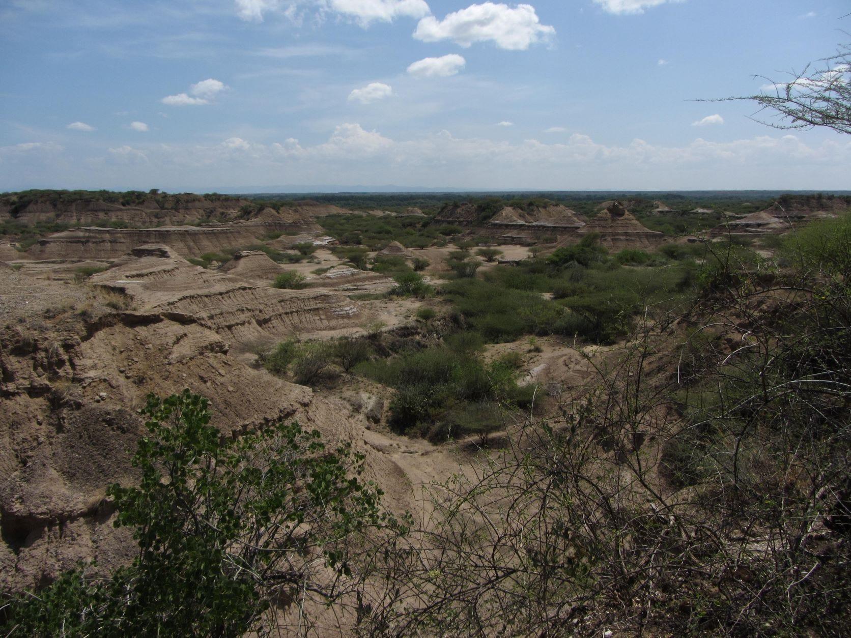東アフリカで最も古い人類の化石は考えられていたより約3万年