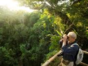 ペルーの南アマゾン地域、マドレ・デ・ディオス州にあるマヌー生物圏保護区で、キャノピーから鳥を観察する観光客。2009年11月2日撮影。