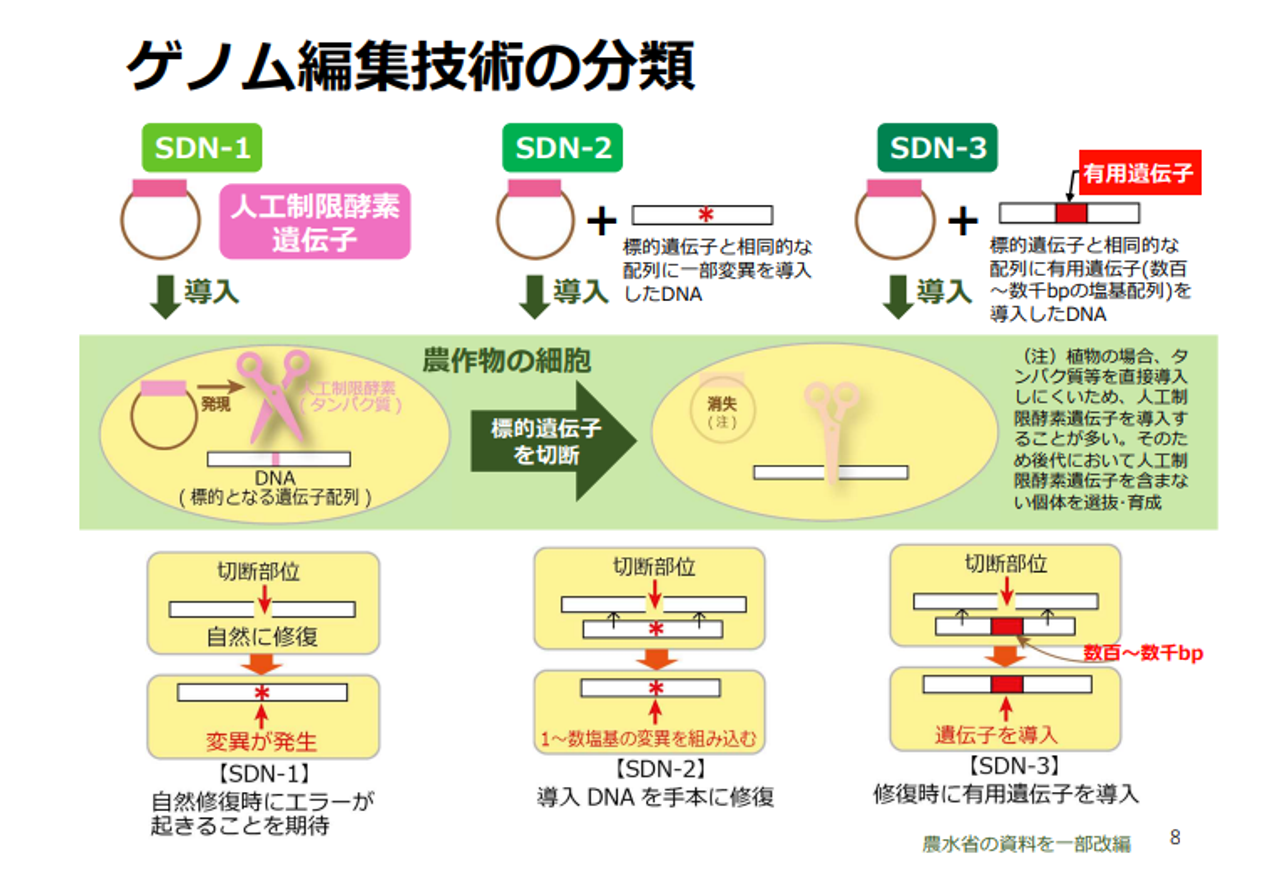 続々登場｢ゲノム編集食品｣の注目ベンチャー2社に聞く。人口100億人時代の食料問題を救う技術となるか Business Insider Japan 8956