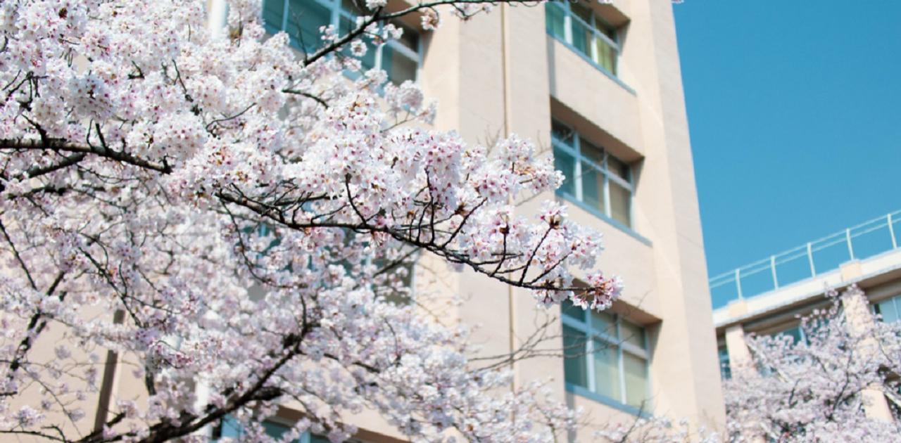 「部活、休みにしてもいいかな」週6日勤務が当たり前、教員たちの働き方改革 | Business Insider Japan