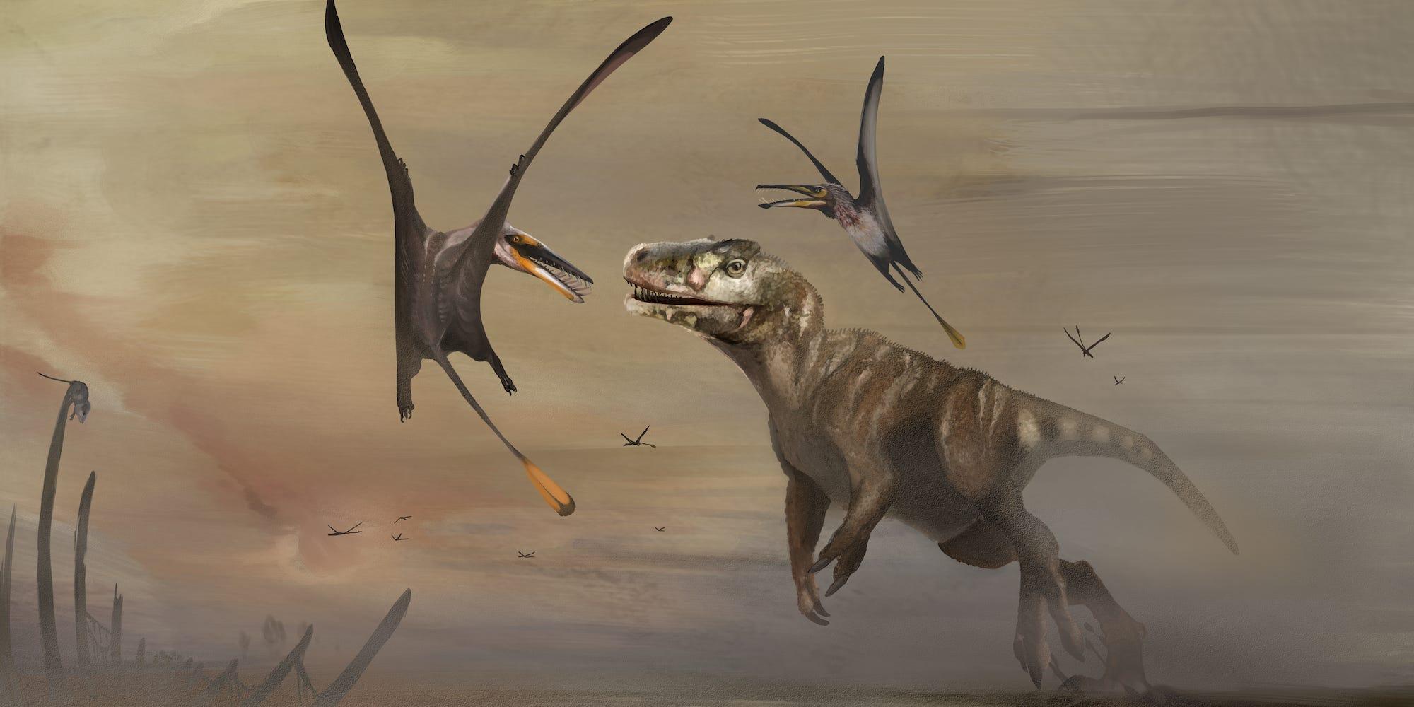 大型の翼竜のほぼ完全な骨格化石を発見…大型化は推定よりも約2500万年