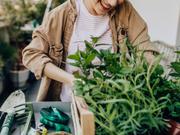 gardening_top_bi