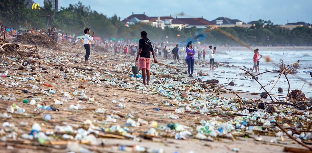 東京湾のカタクチイワシ8割にプラ。人も年間5万個摂取？広がるプラスチックの海洋汚染の現実