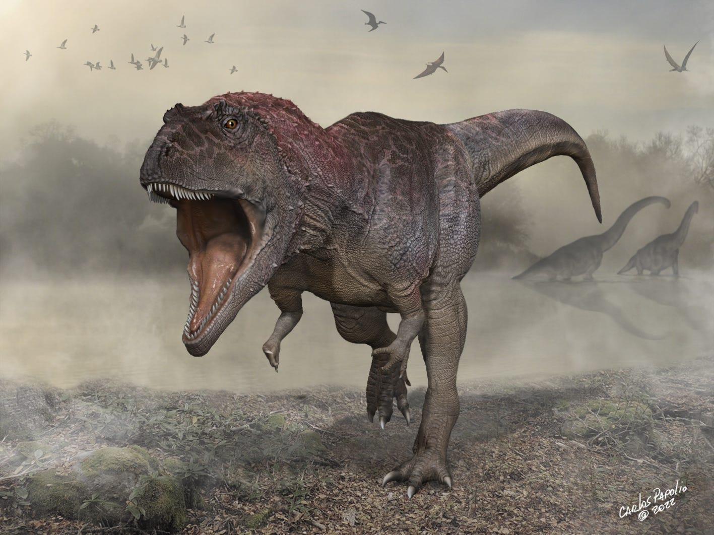 ティラノサウルスのような小さな腕を持つ新種の恐竜を発見