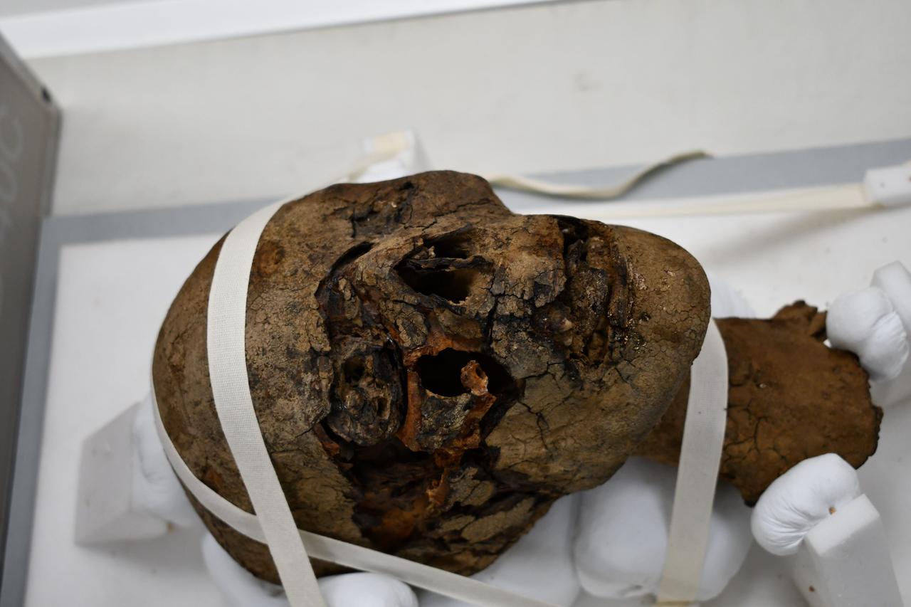 イギリス・ケント州にある住宅の屋根裏部屋で発見された2000年前の古代エジプト人のミイラの頭。